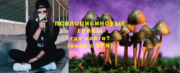 мдма Медвежьегорск