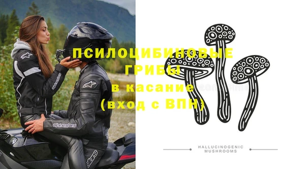 герыч Мегион