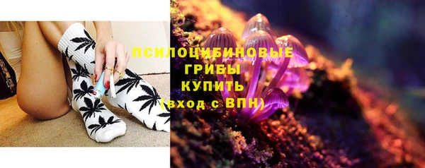 мдма Медвежьегорск