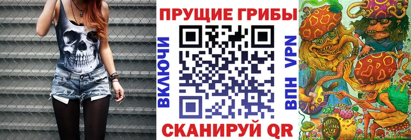 где купить наркотик  Чёрмоз  Псилоцибиновые грибы MAGIC MUSHROOMS 